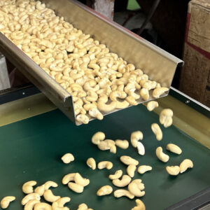 vol.4 生産者を巡る『工場レポート①』